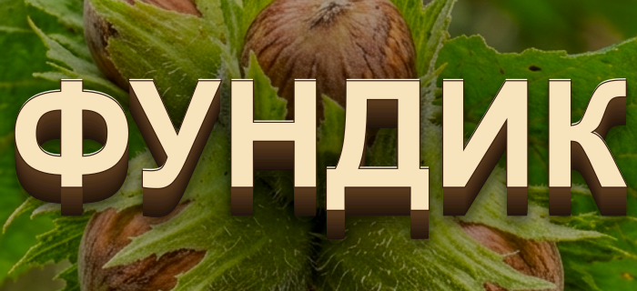 ФУНДИК